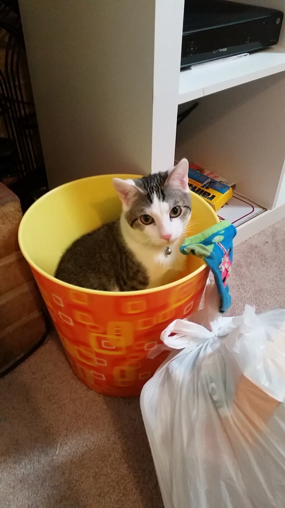 CS2 职业联赛规则调整备受关注,cs的职业联赛