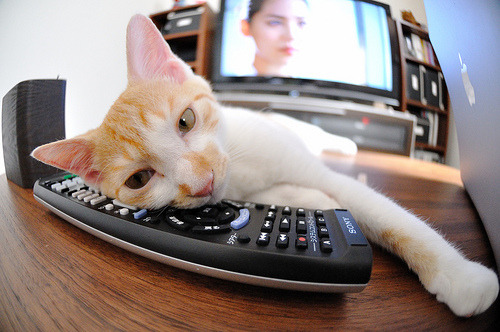 “西甲明星轰动全场,带领球队奋勇前行”,西甲明星都有哪些