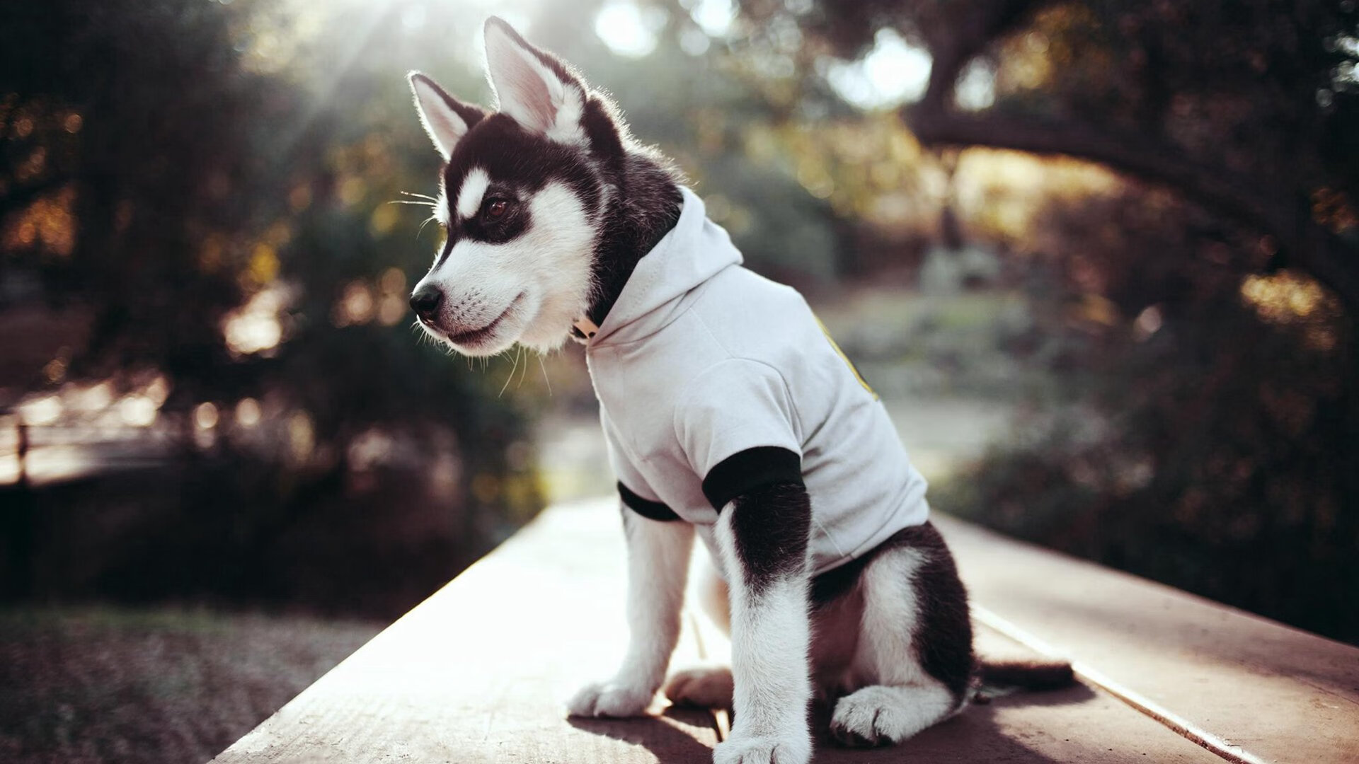 熊猫体育入口-《Dota 2神奇逆转，冠军悬念持续升温》，dota2最强翻盘