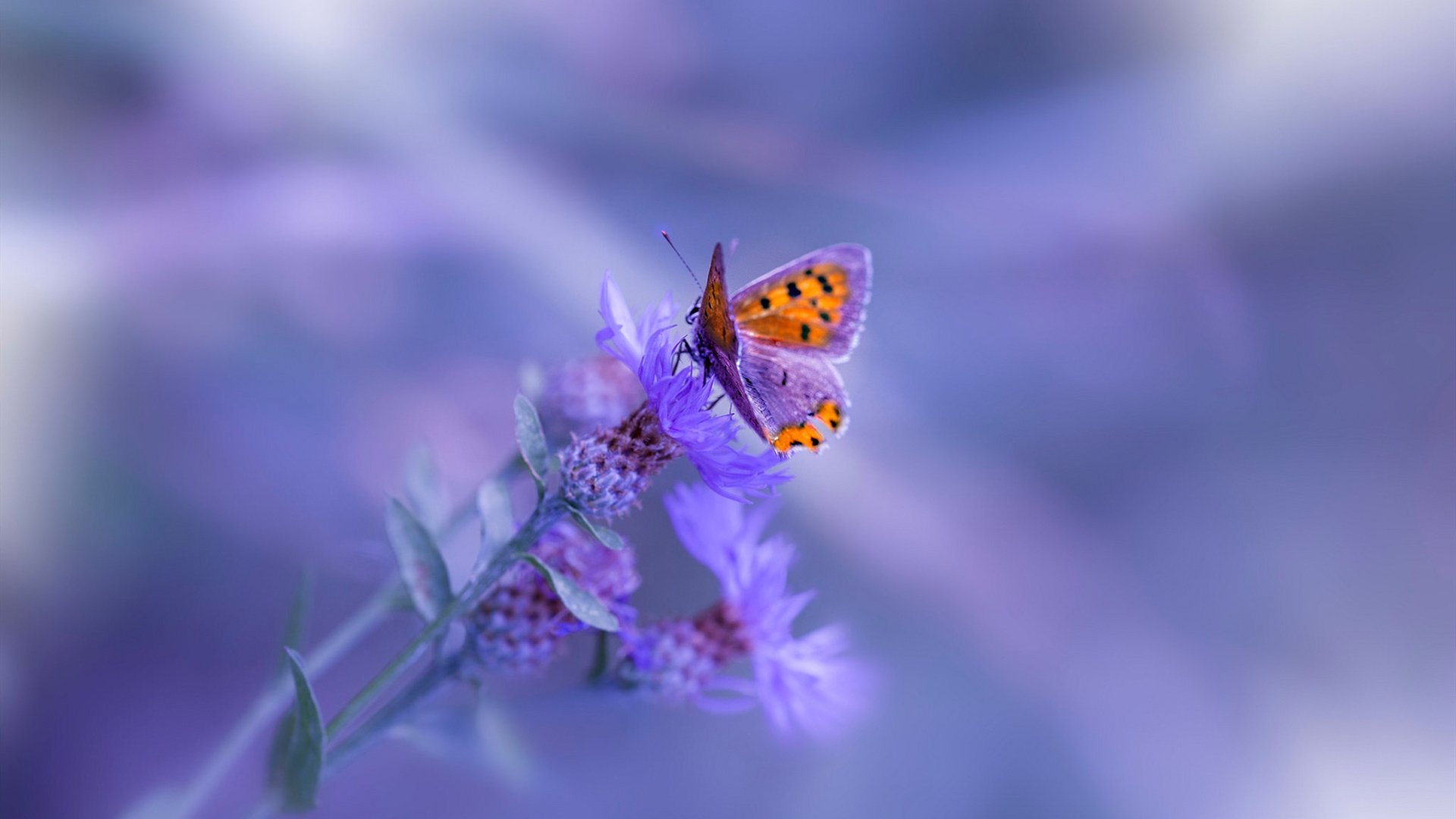 熊猫体育官网-《行业合作模式创新：电竞与旅游、餐饮的跨界融合》，电竞合作案例