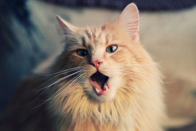 【经典逆转】难忘比赛:丁俊晖如何用策略逆转获胜?,丁俊晖最精彩的逆转