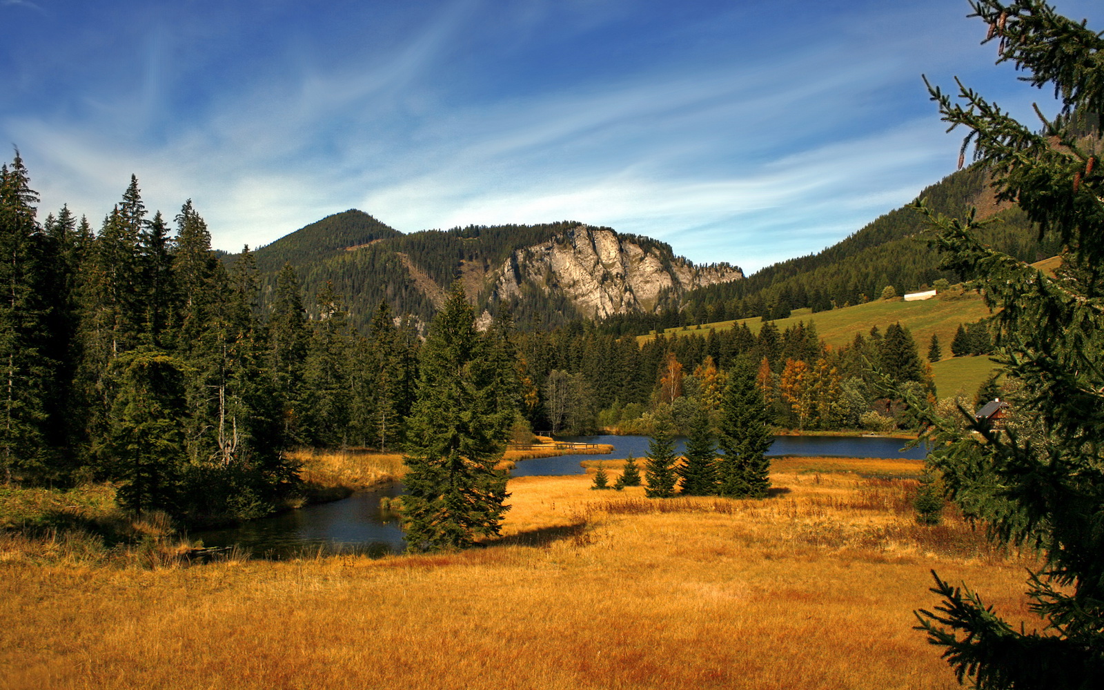 熊猫体育网址-全国青少年“篮球+科技”新项目在广州推介，打造未来新亮点，广州青少年篮球队
