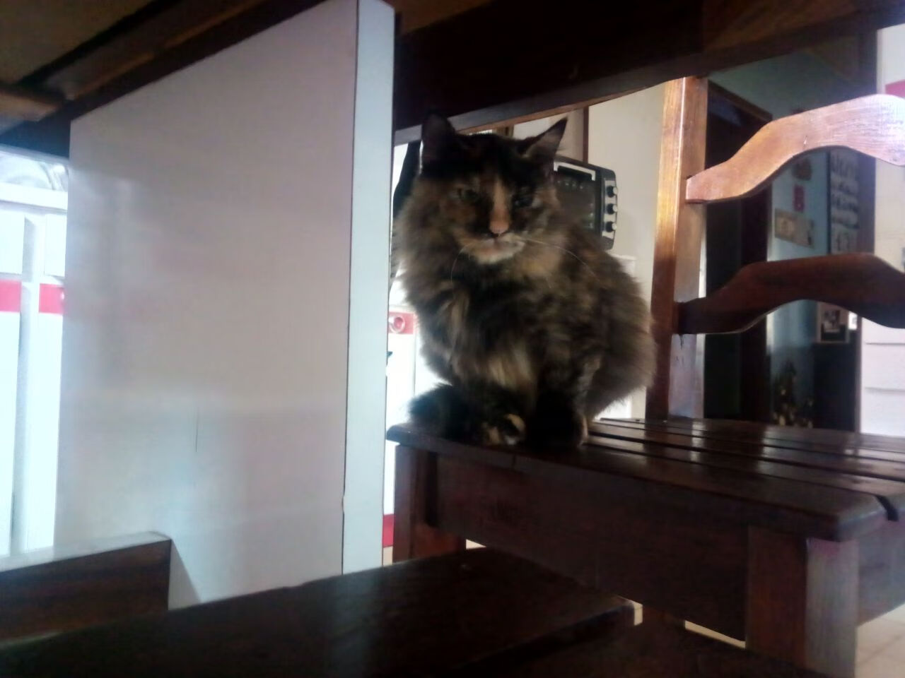 塞内加尔骑手马马杜·巴在非洲马术锦标赛后宣布退役,结束辉煌的职业生涯。