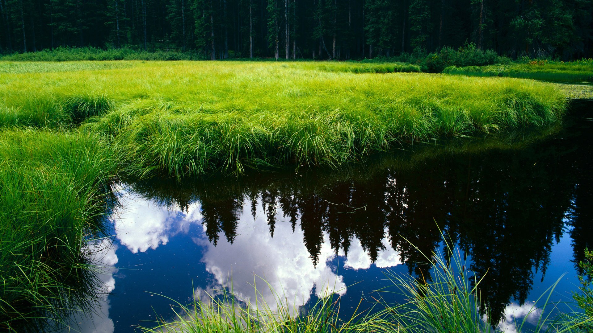 女子排球亚洲杯中国队成功卫冕,实力强劲,2021年女排亚洲杯