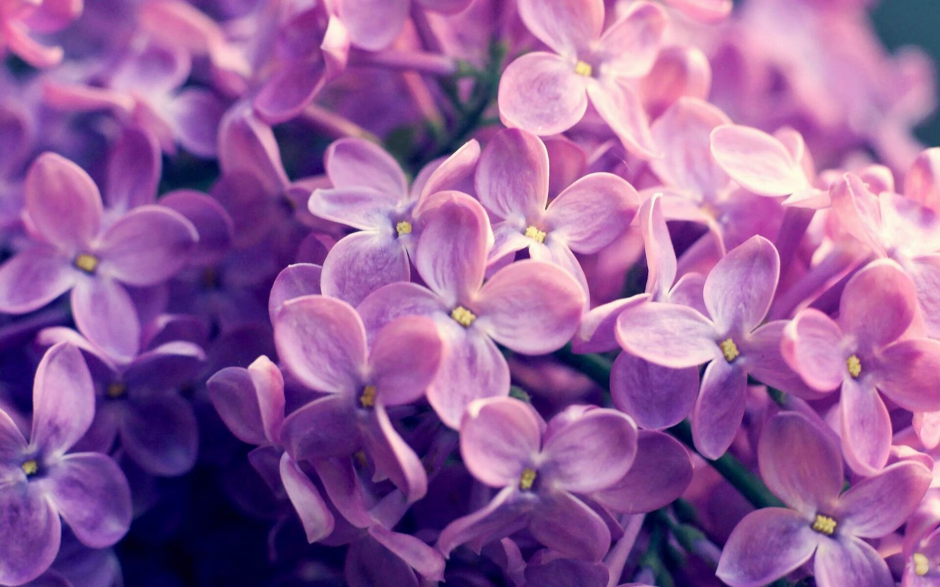 熊猫体育官方网站-新能源赛车：节能减排的未来，新能源汽车挑战赛