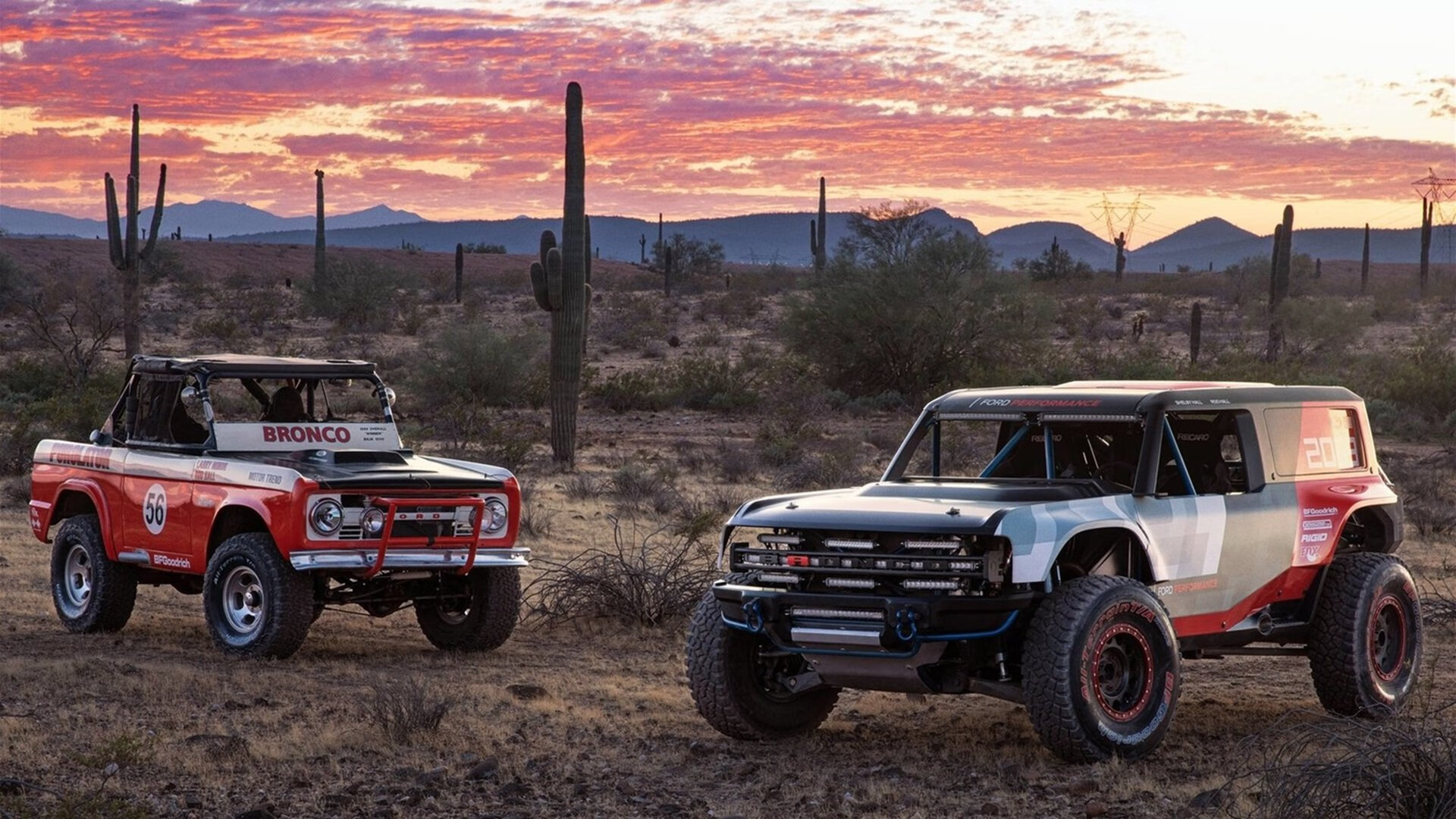 法国举办篮球青少年培训营,法国举办篮球青少年培训营有哪些