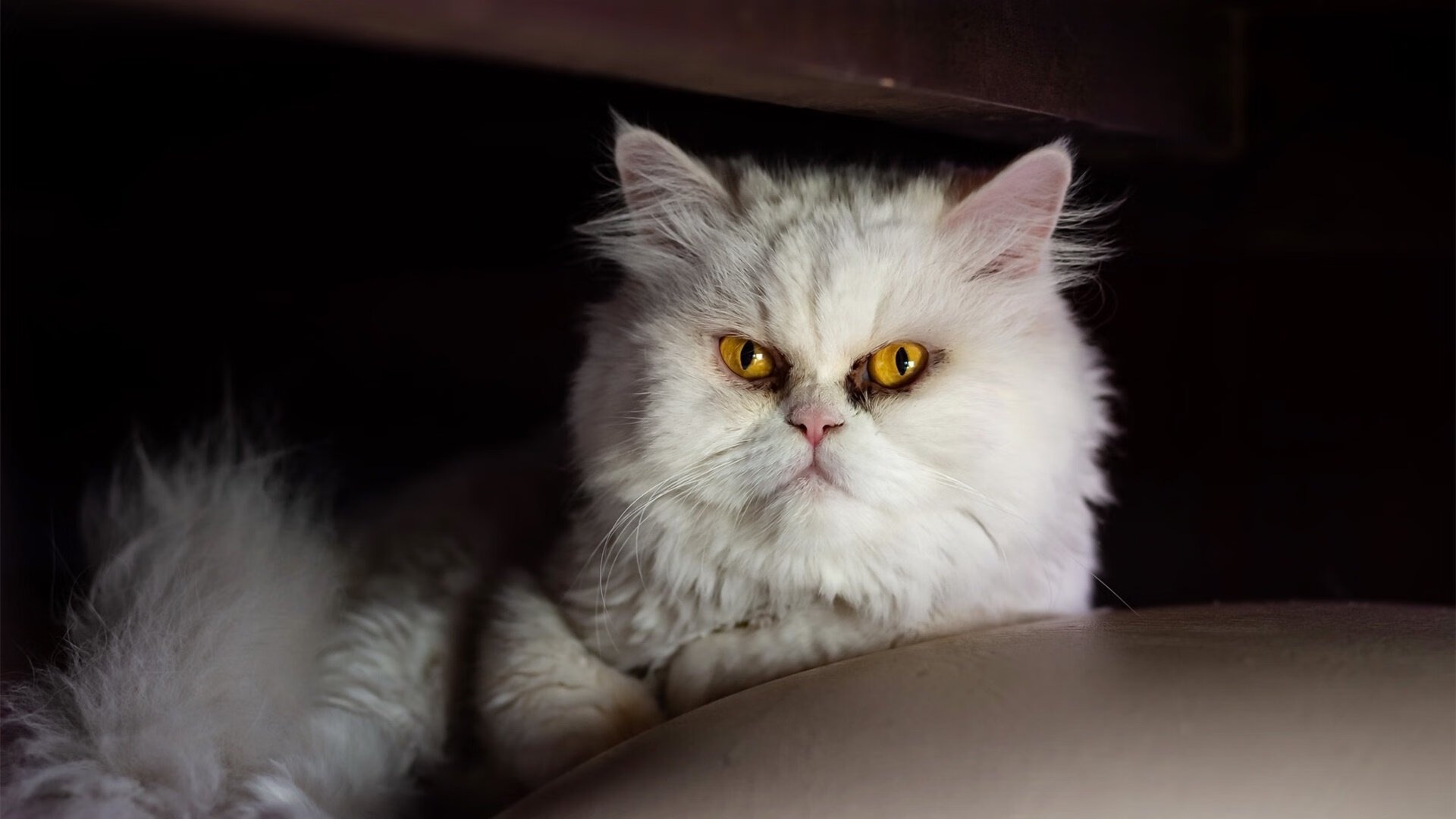 球场“固若金汤”:冠军之师的防守秘密