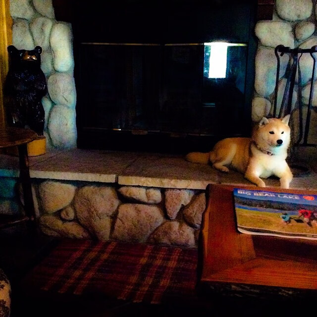 篮球公益项目助力贫困地区体育发展,篮球公益活动方案