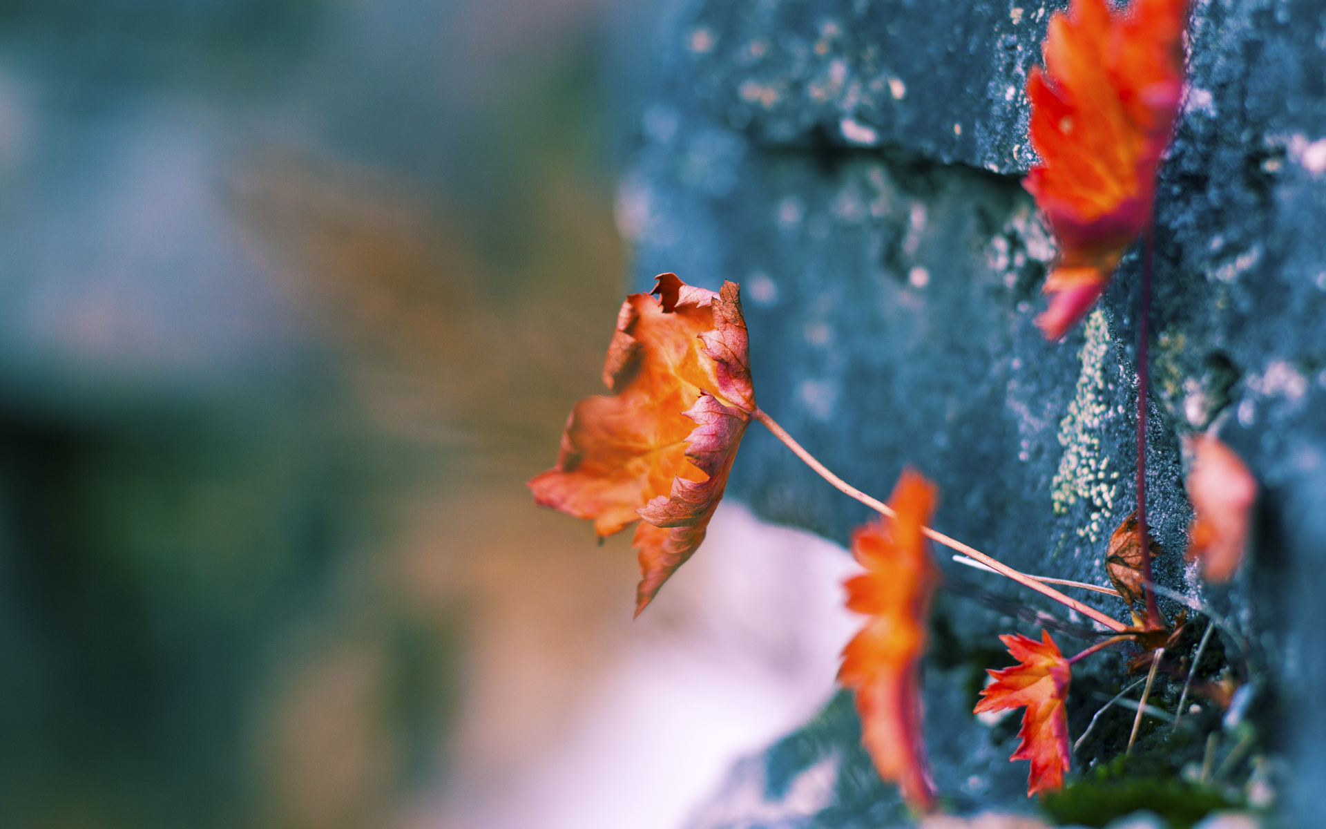 绝地求生 线上赛事观看人数创新高,绝地求生比赛还能持续多久