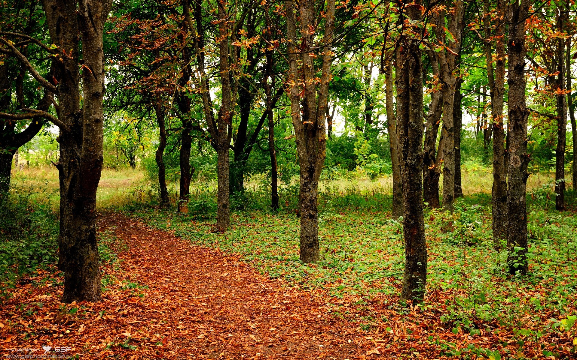 熊猫体育APP-英雄联盟“冒险者杯”预赛火热开启，等你来战，冒险者战队