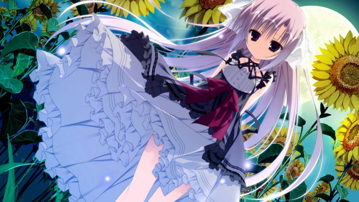 荷兰马术队在巴黎奥运会障碍赛团体决赛中获得第五名,展现强大实力。