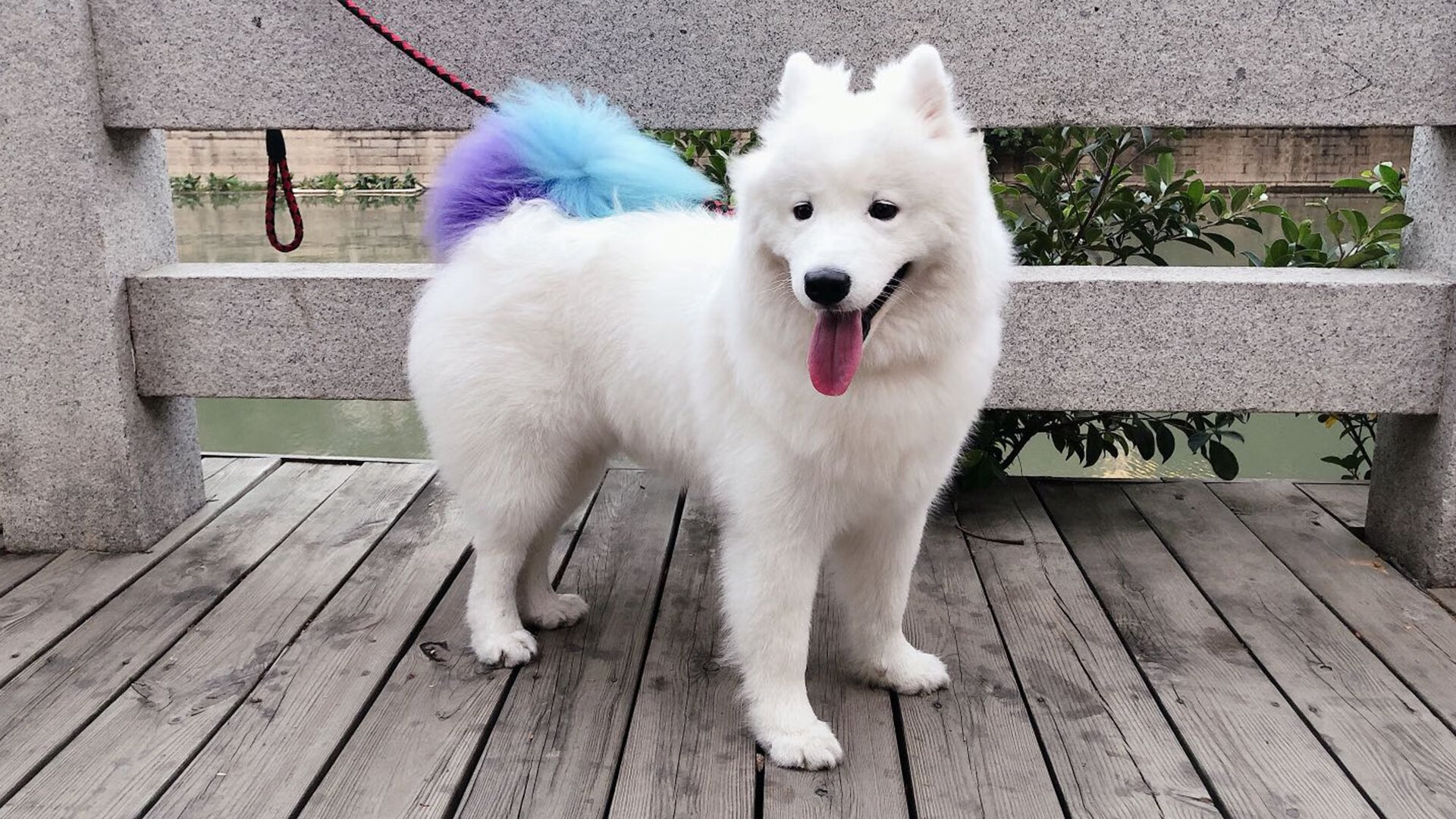 中甲联赛的升降级制度改革，2020中甲升降级