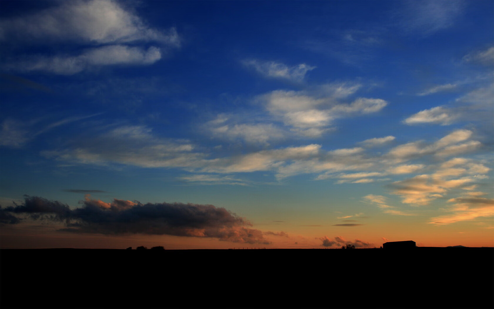 举办国际瑜伽文化交流活动,促进全球合作,国际瑜伽联合会