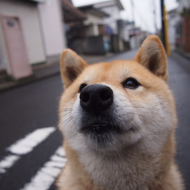 墨西哥队加强青训,培养未来之星,墨西哥足球青训