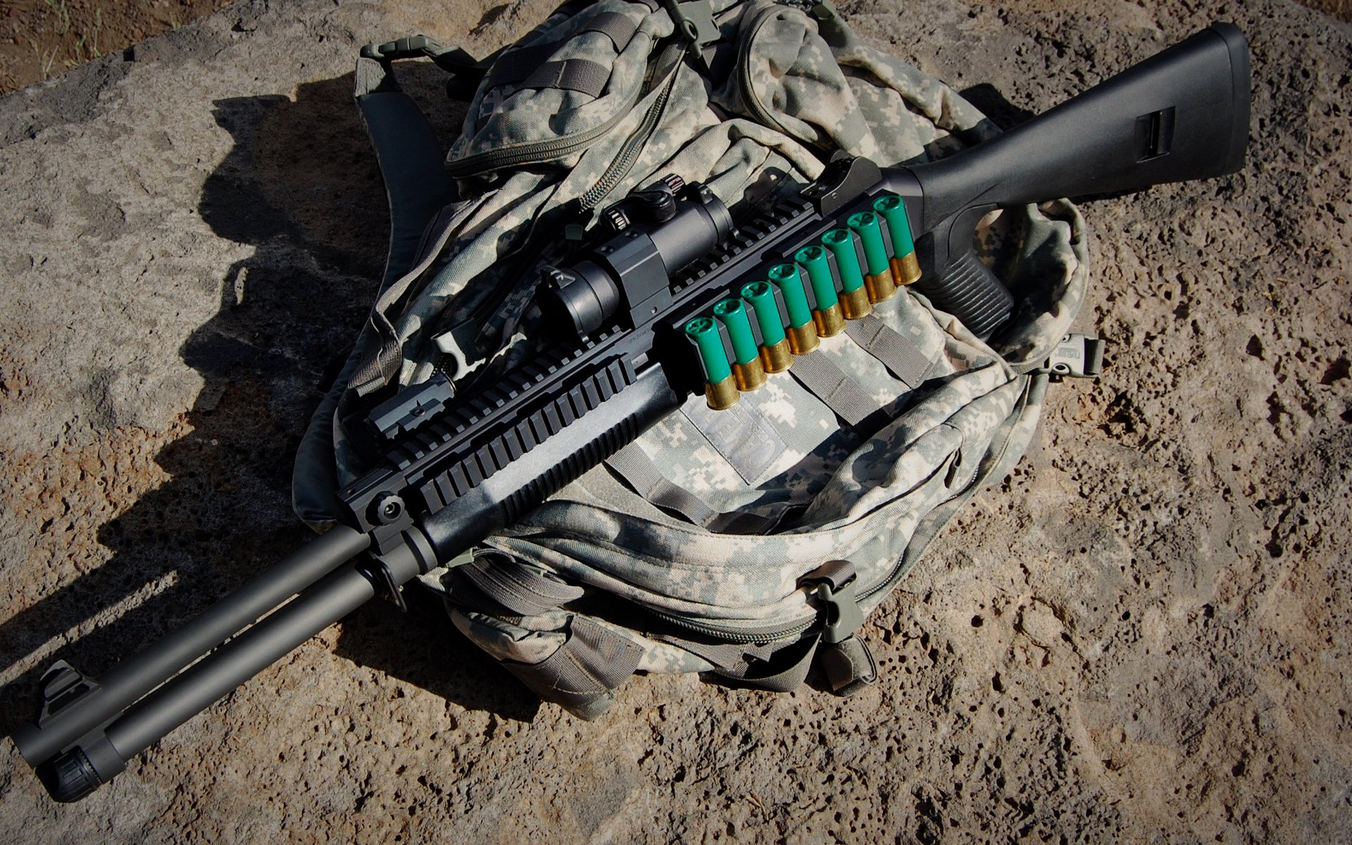 山东队争夺主场胜利,战胜上海队,山东对阵