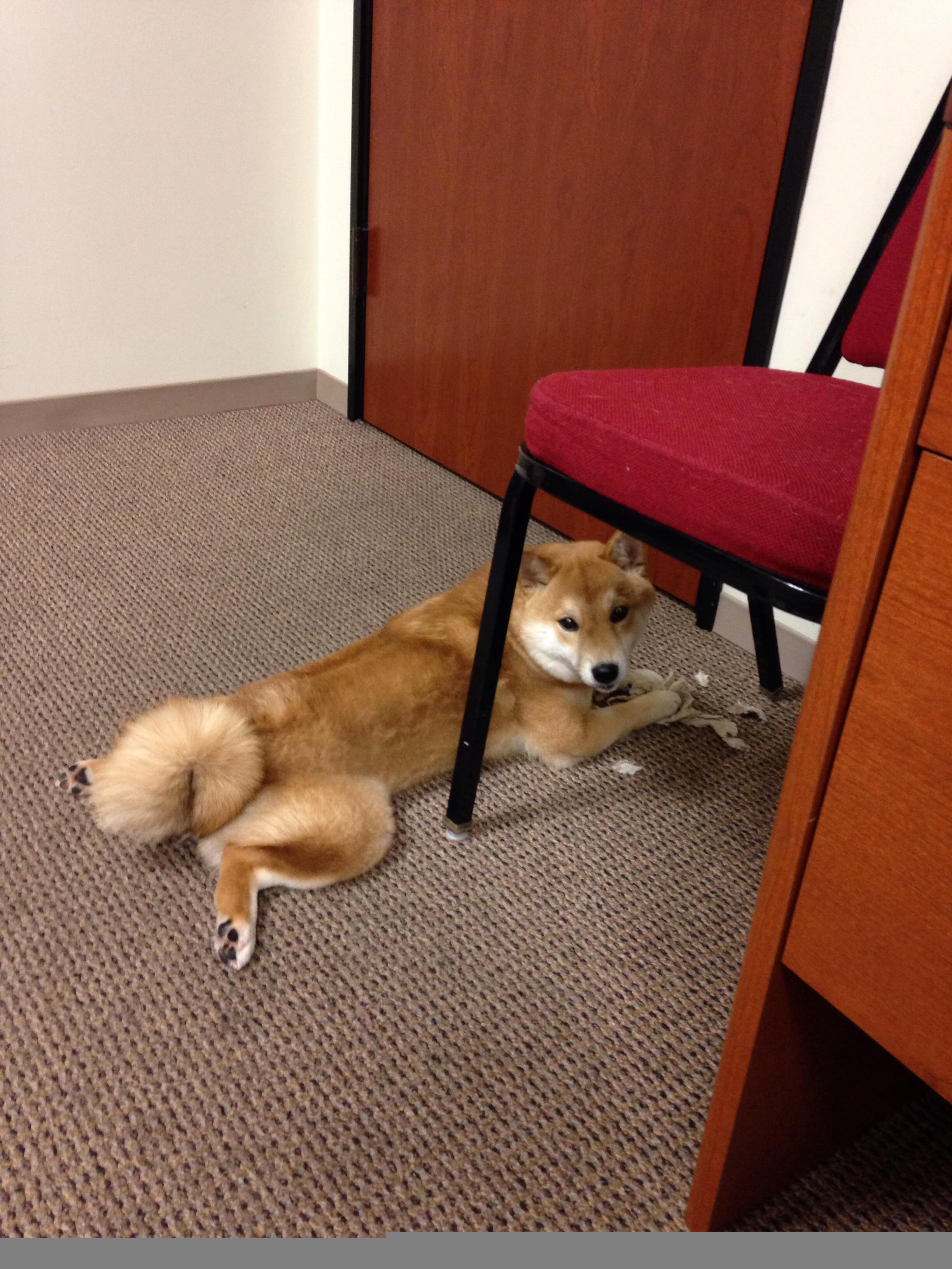 熊猫体育在线-独立队防守表现提升，独立队防守表现提升怎么写