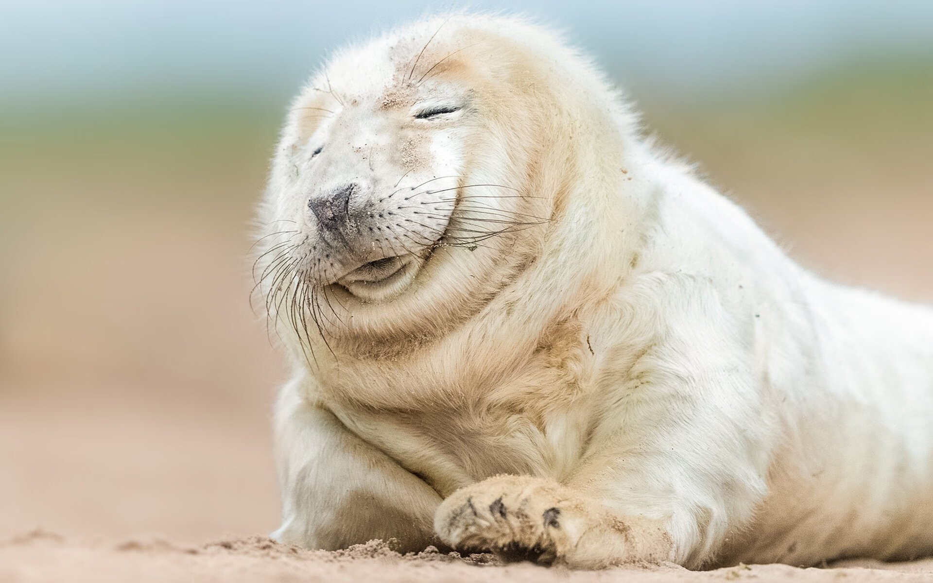 篮网交易流言不断,球队班底或将大调整,篮网球队最新交易