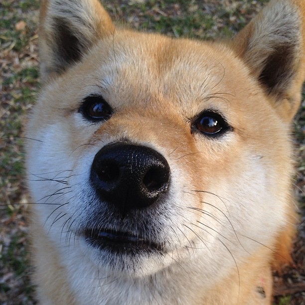 足球风云再起,女子球员再创辉煌,足球风云女主