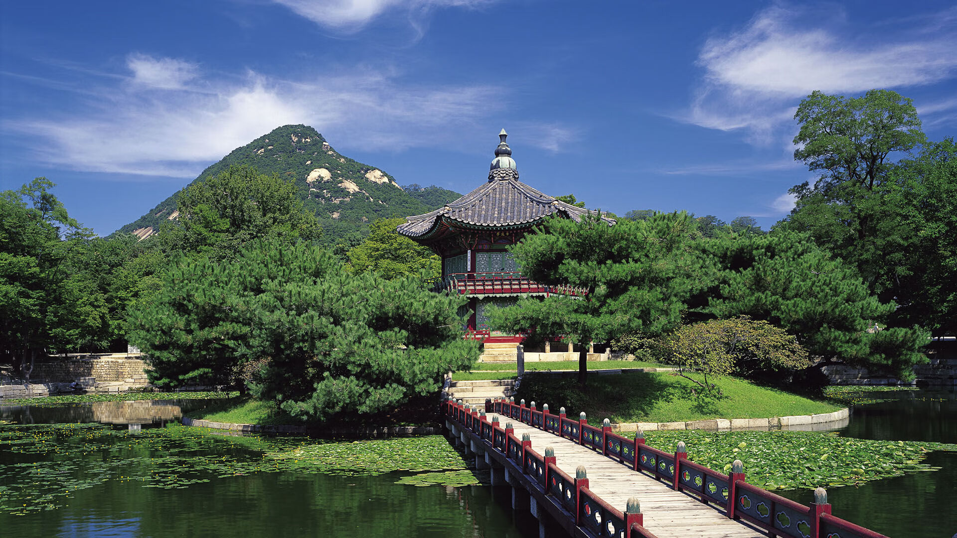 世界青年跳水锦标赛中国队实力强劲,世界跳水大赛