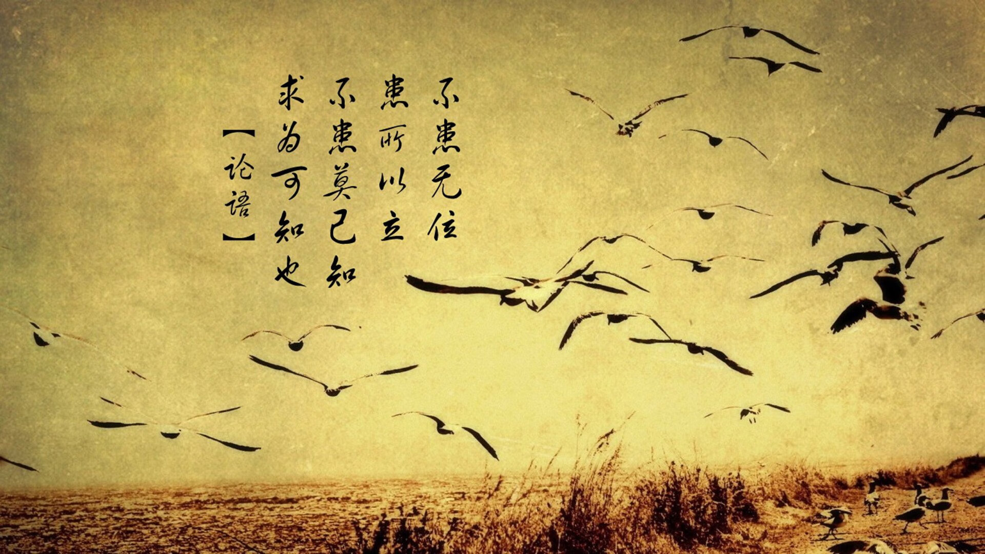 区域体育发展专项资金绩效管理体系建设研究,体育产业发展专项资金