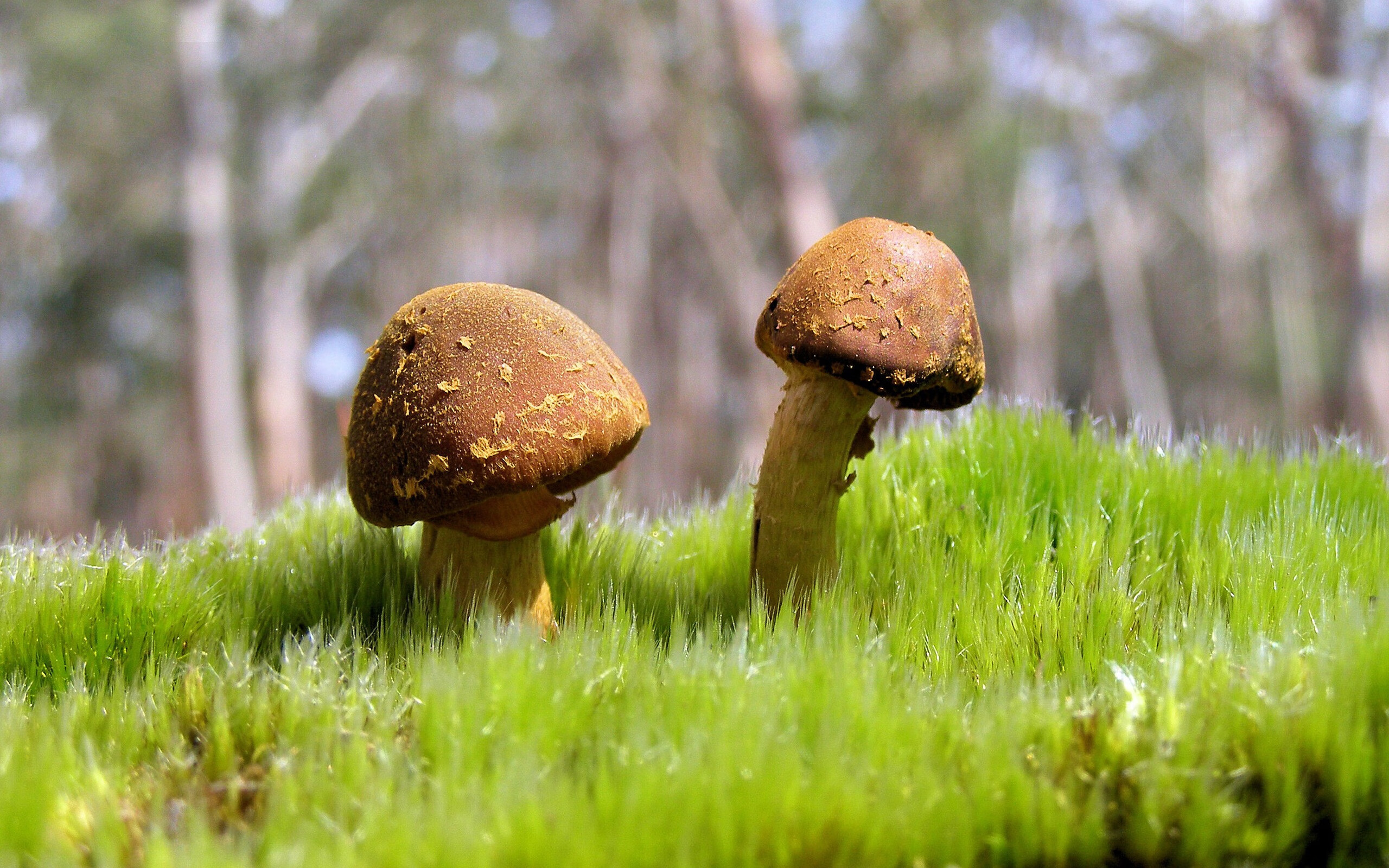 CBA联赛推动篮球文化交流促进体育合作,cba联赛合作伙伴