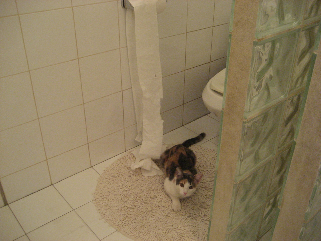 “2025世界运动会:短柄墙球成高新区全民健身馆亮点,选手们的脑力较量正在上演”