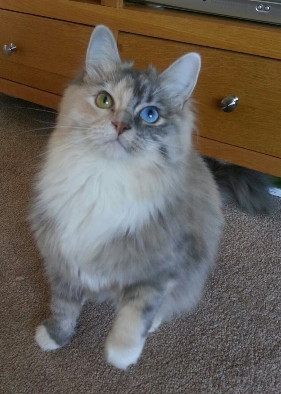 莱比锡红牛前场站位激活进攻层次,莱比锡红牛战术特点