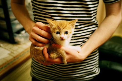 防守反击球队是否更适应五大联赛下半赛季节奏,防守反击什么意思