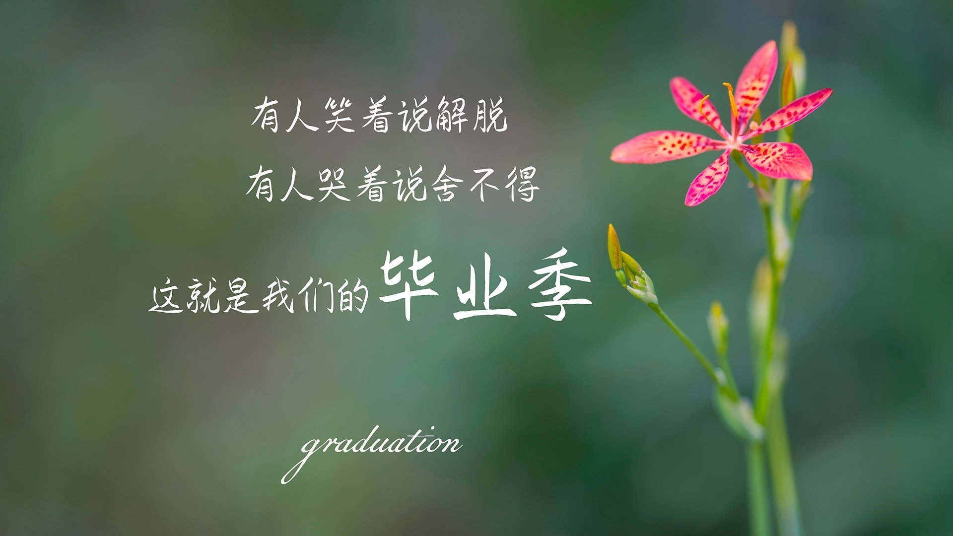 中国足球联赛打造多元化球迷互动周边产品,足球队 中国