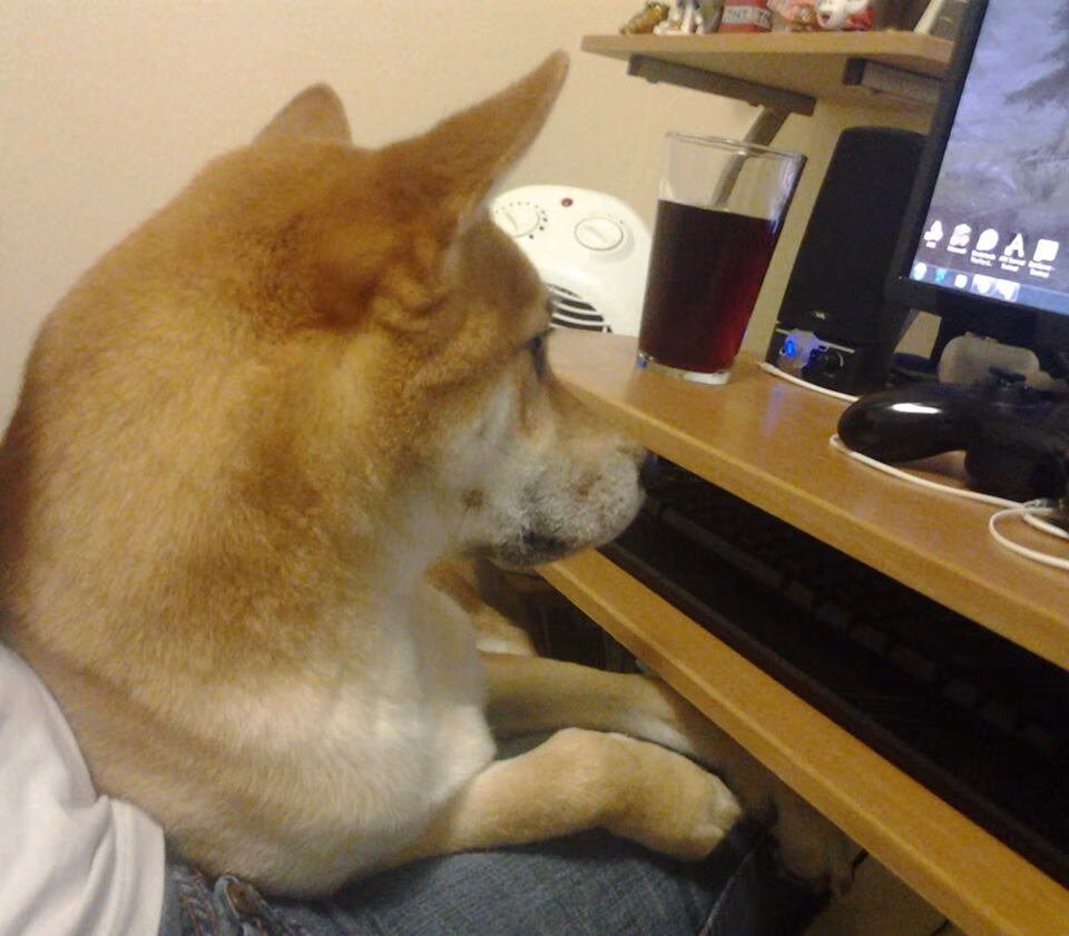 中国足球联赛打造多元化球迷互动周边产品,足球队 中国