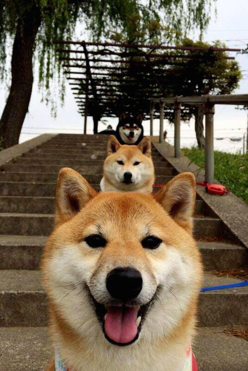 中甲球队通过球员自评机制加强训练反馈机制