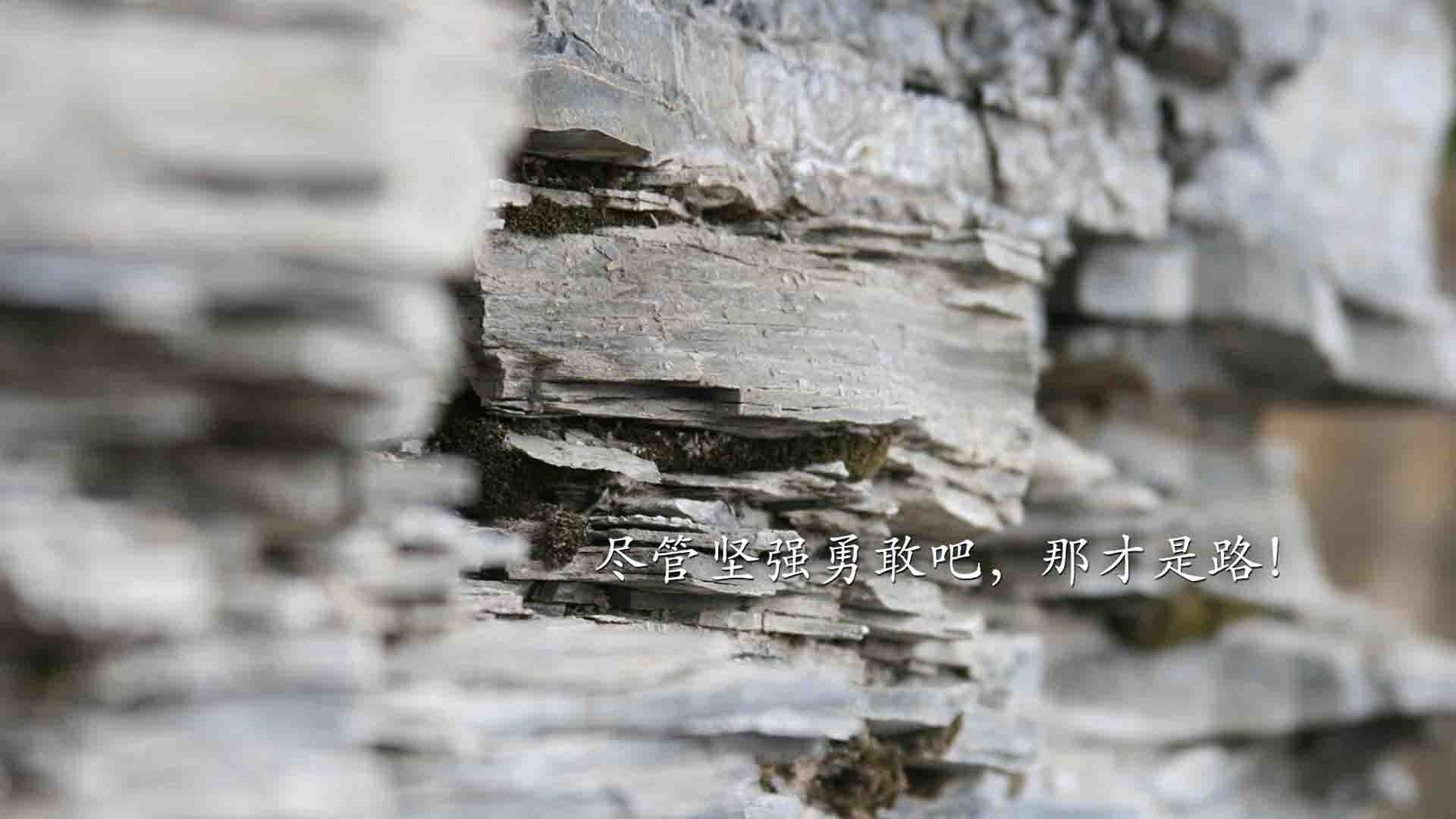 国际赛季中断引发日程重排,备战节奏被迫调整,国际赛时间